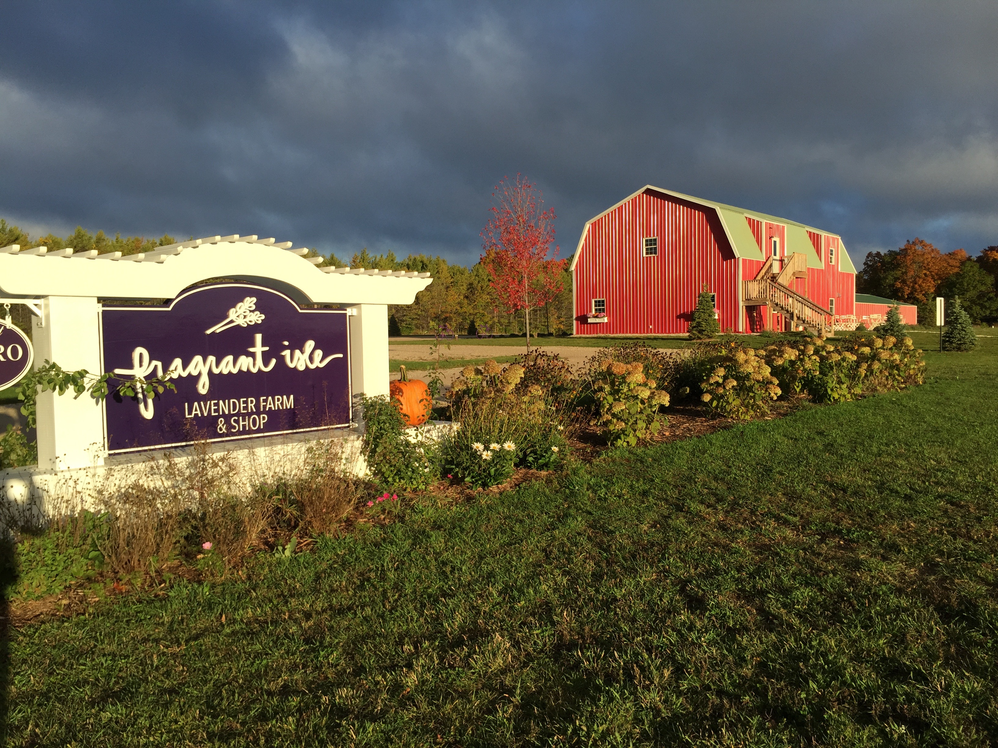 Fragrant Isle Lavender Farm and Shop on an early October morning. Photo by Sean Barron.